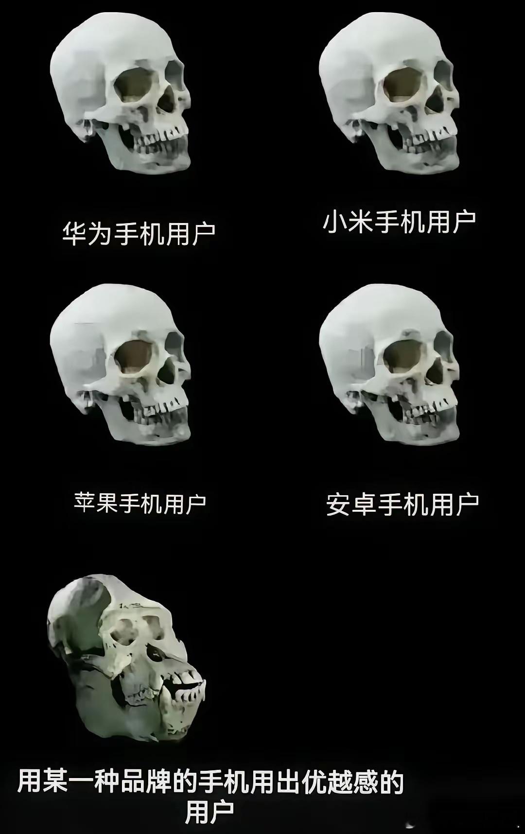各手机品牌用户的现状写照。