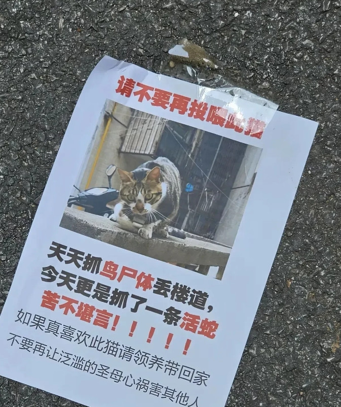不得不说，这猫不占便宜礼尚往来啊[大笑][大笑][大笑]