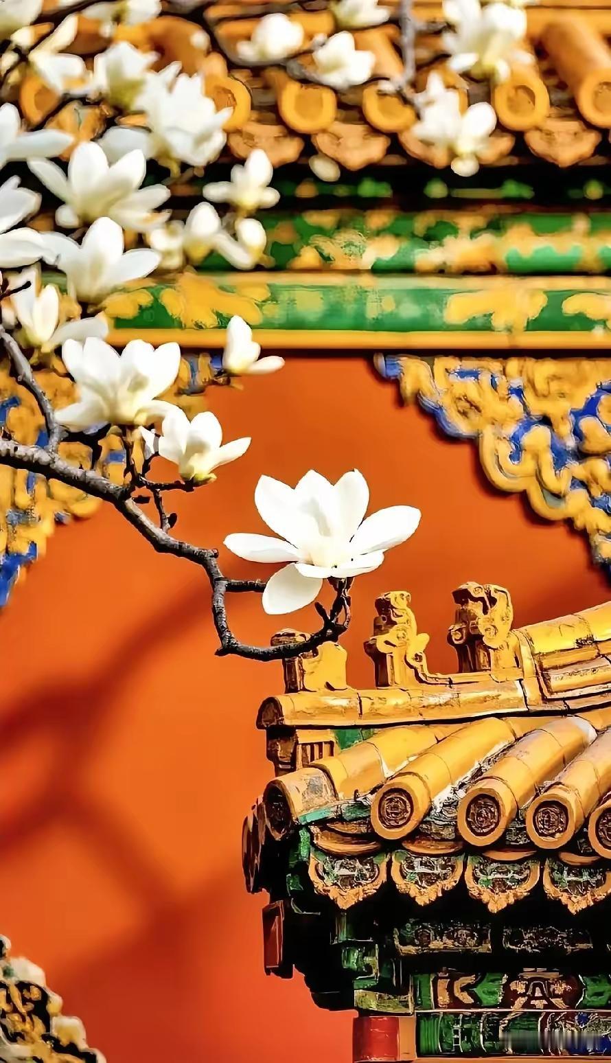 你焦虑个锤子！看完这10句话，瞬间清醒，所有内耗全消散！​​1.人生就三晃：