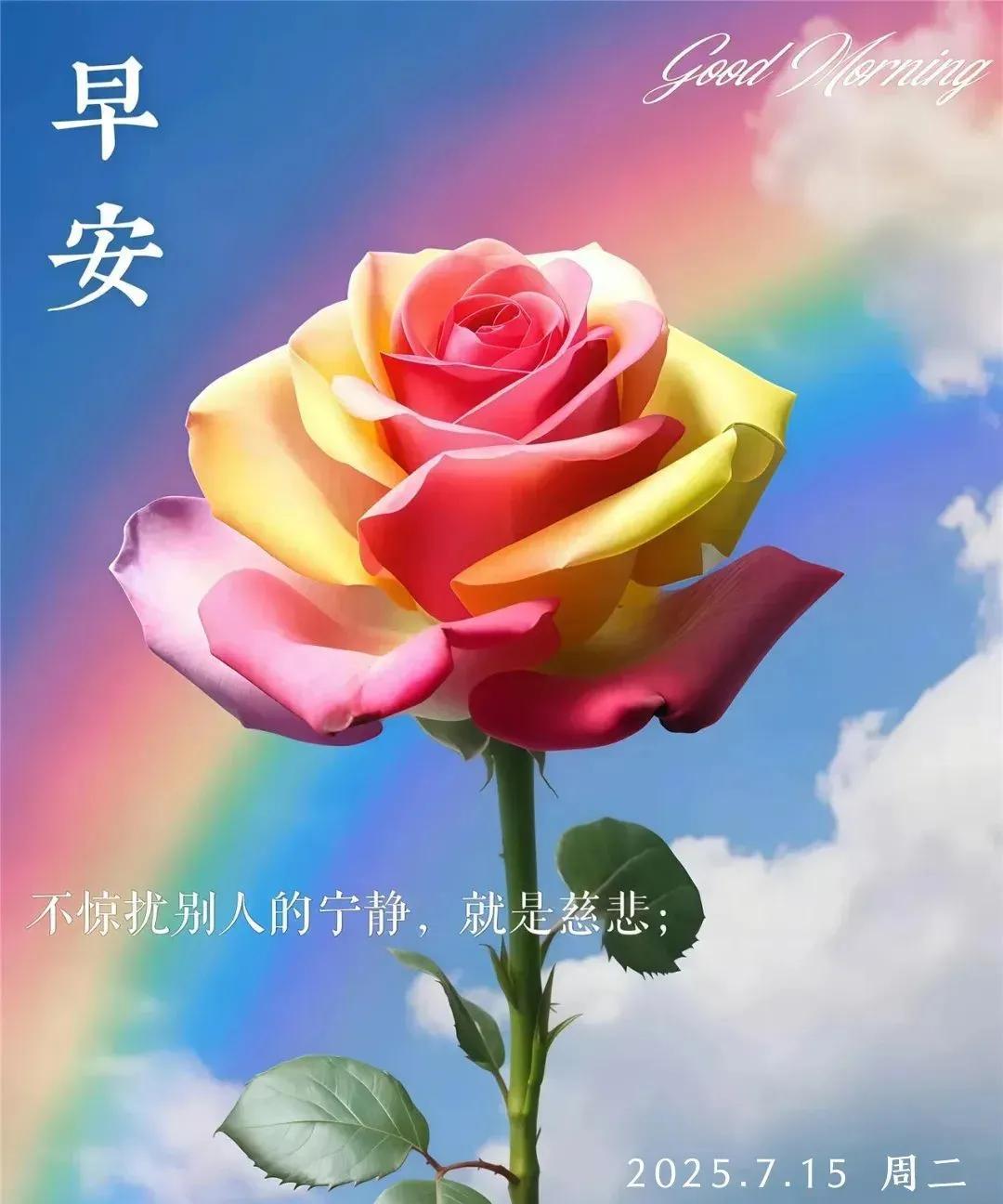 《盛夏晨安》盛夏情浓意韵真，清晨问候暖心门。祥光常绕心安处，喜乐相随岁月温。