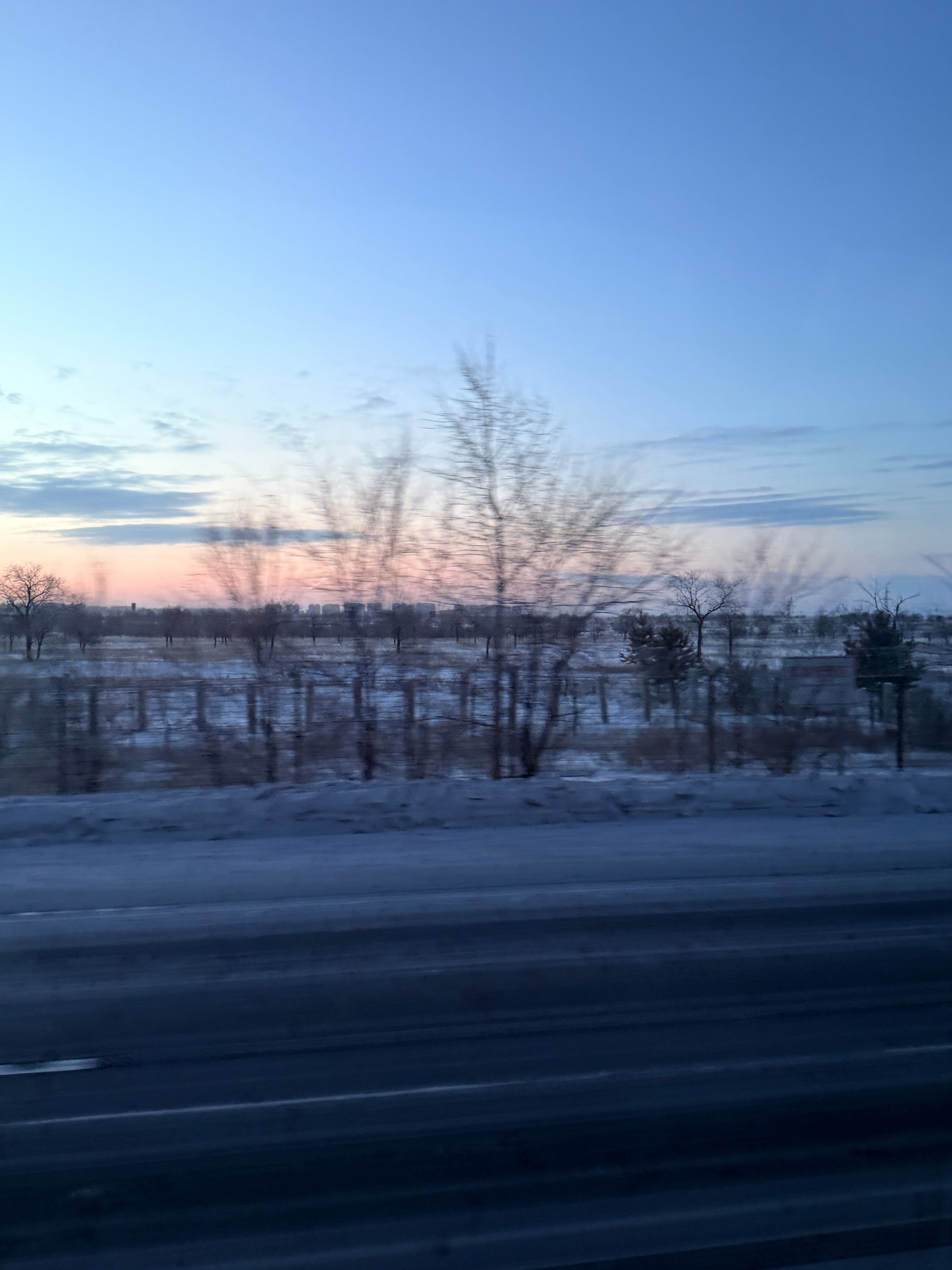 还是北方有过冬的感觉呼伦贝尔·海拉尔国家森林公园