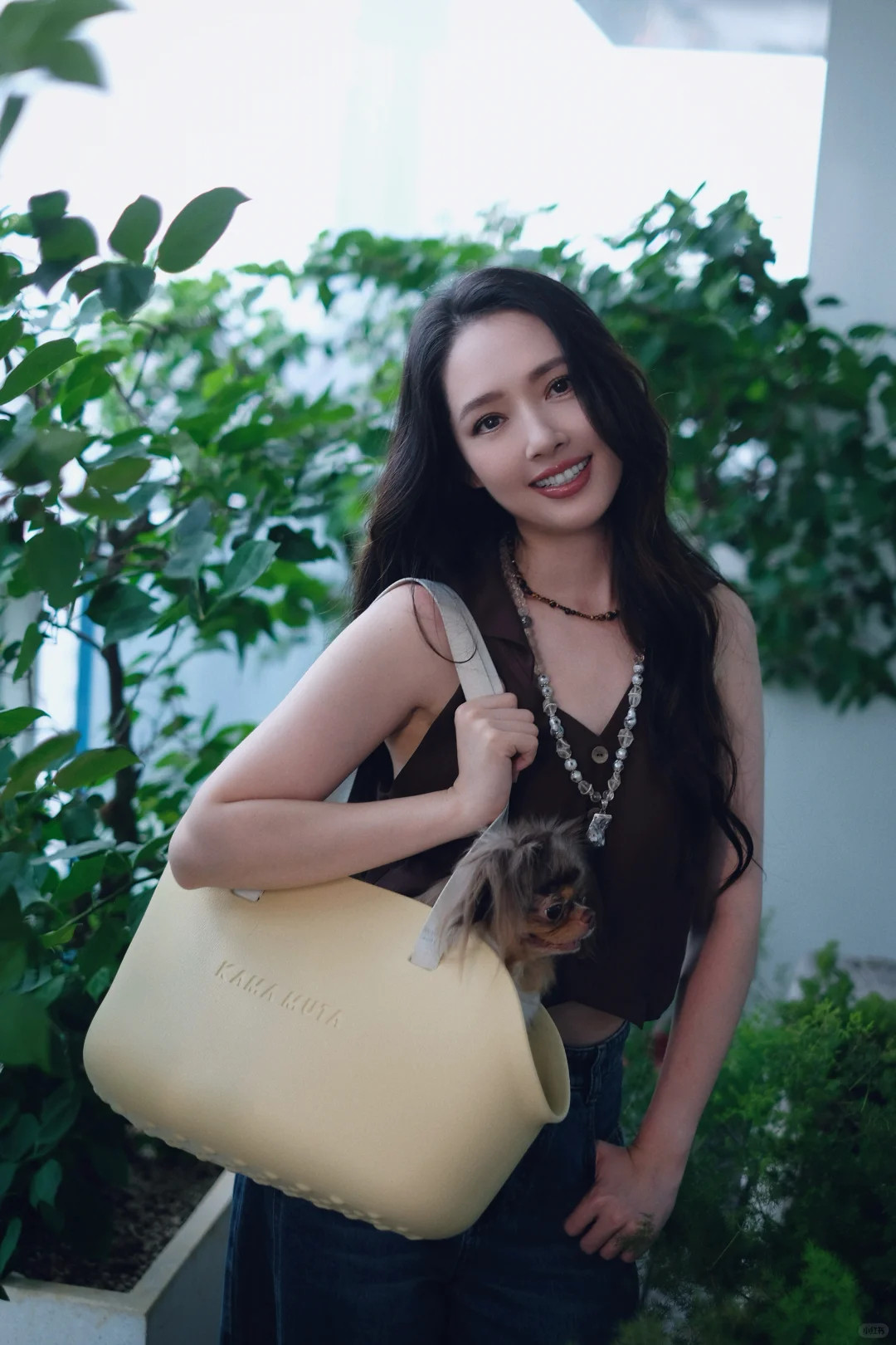 郭碧婷养的宠物和植物，好多！​​​
