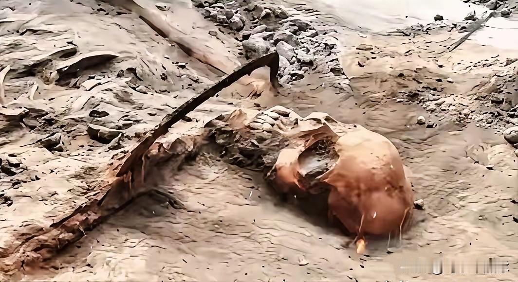 1068具遗骸，无声无息在土里埋了83年。看到河南舞钢这新闻，心里像是被什么