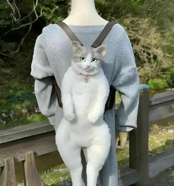 以为是一只猫，结果却是一个包有点惊悚感觉……