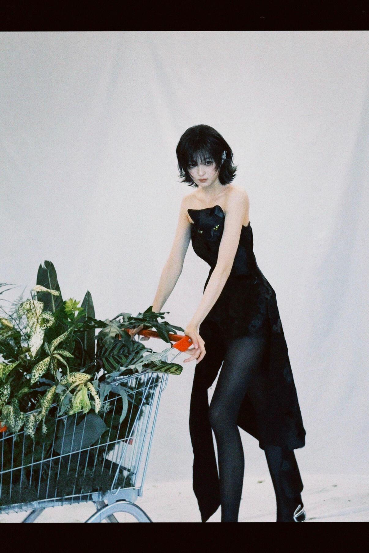 孙千黑裙驮着一只黑豹在苔藓与蕨类的缝隙里我听见风穿过短发的声音购物车