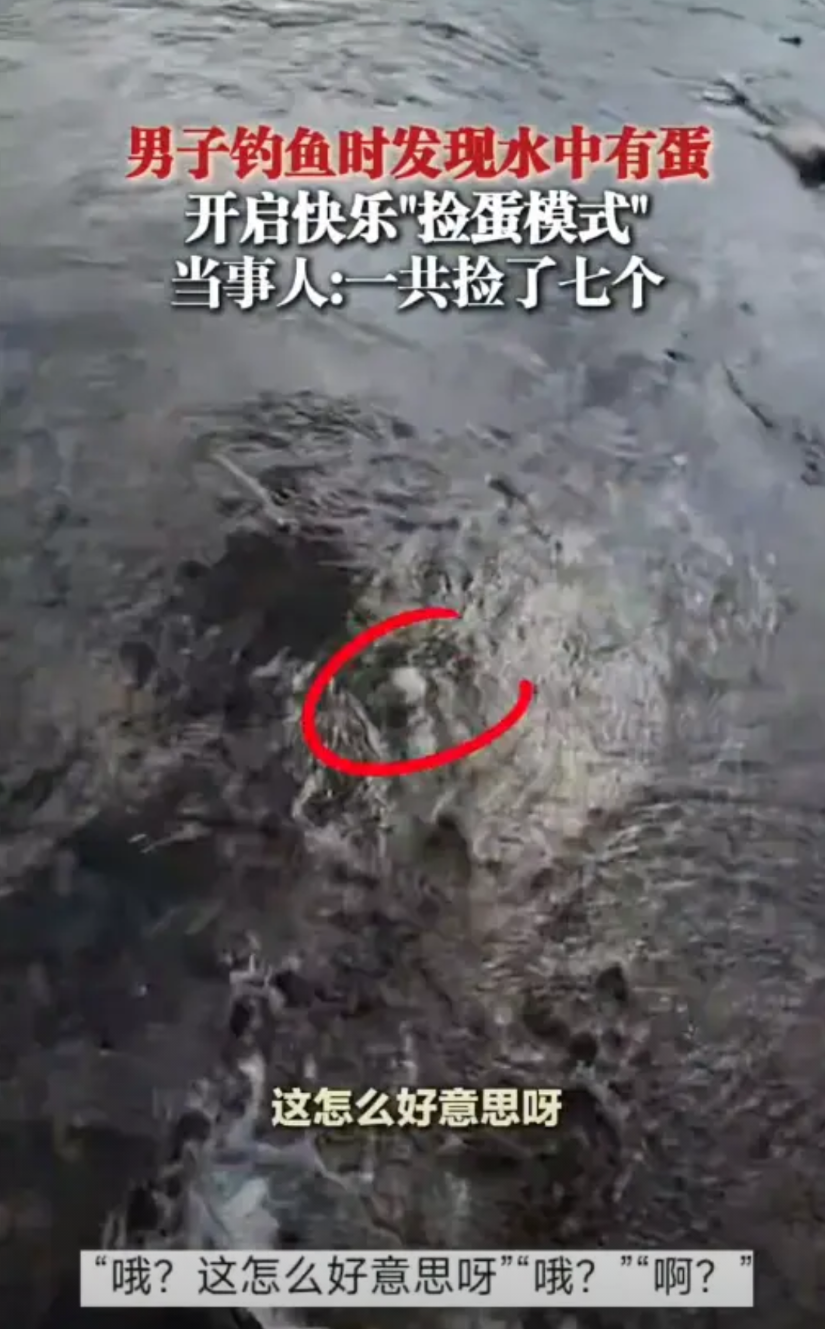 “这简直是捡钱啊！”8月18日，浙江，一男子去河边钓鱼，结果看到水中有2个鸭蛋，