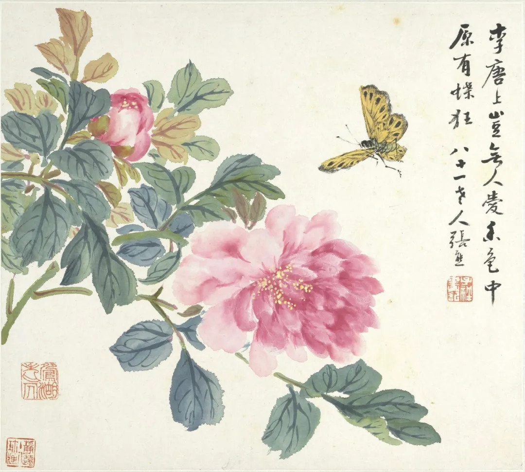 【花卉册】张熊国画雅集​​​