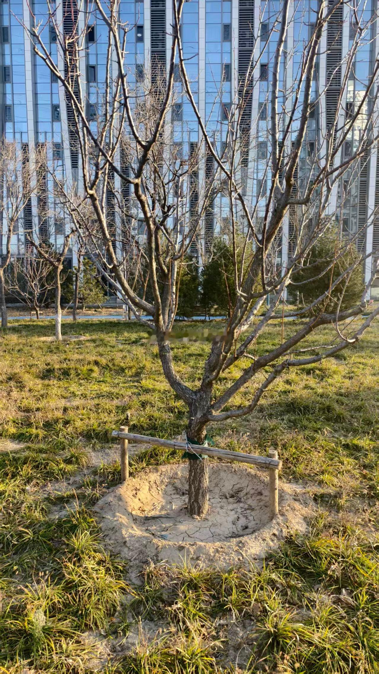 折磨一个人的从来不是情绪，而是心存幻想的期待。世间万物都在治愈你，唯独自己不肯放