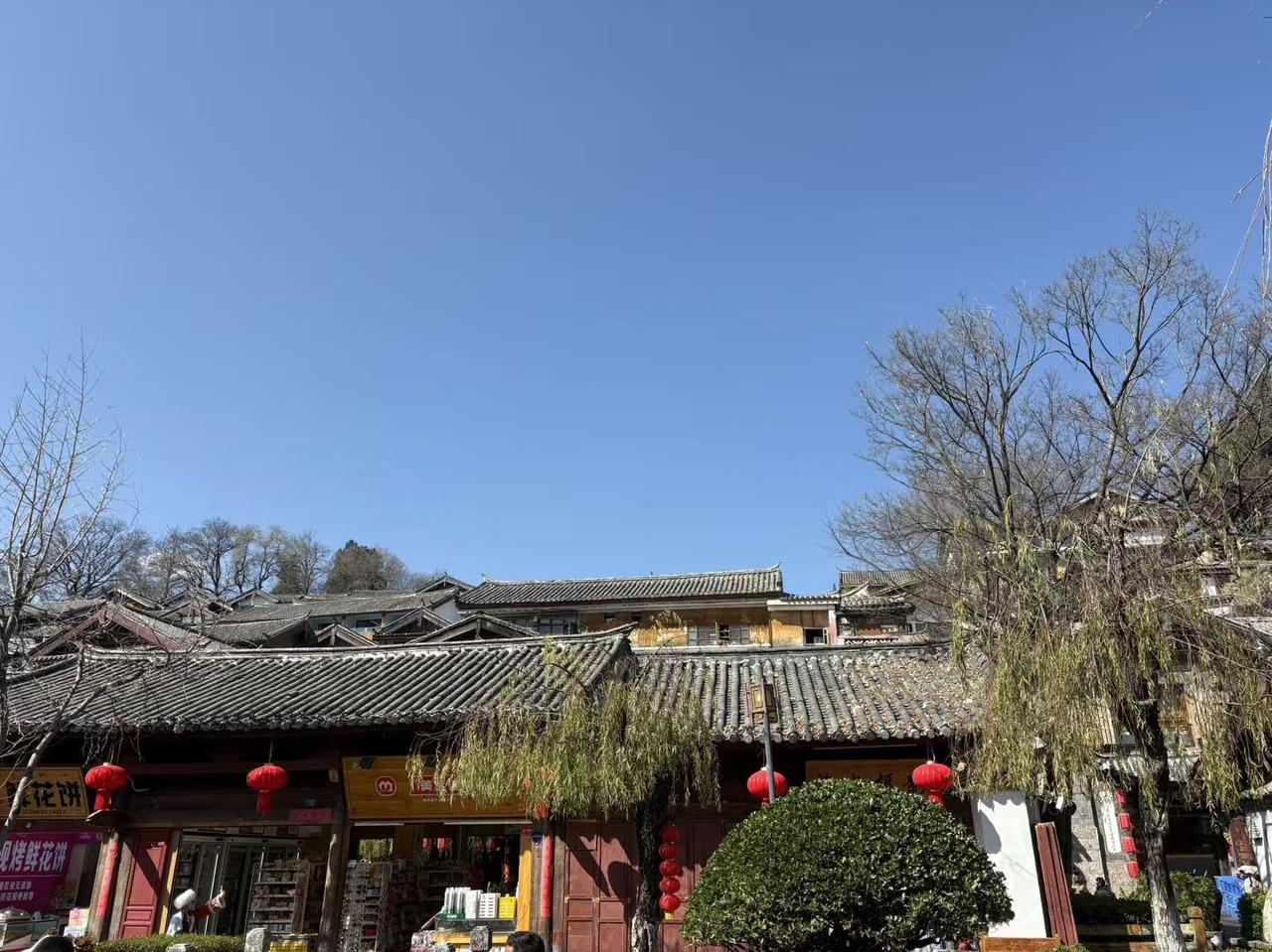 阳春三月去了趟丽江，那风景真绝了！丽江的山，连绵起伏，像是大地勾勒出的优美线条，