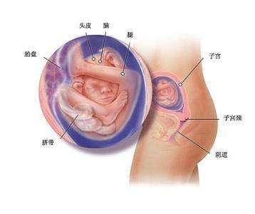 怀孕39周胎儿半入盆, 胎位还会变吗?
