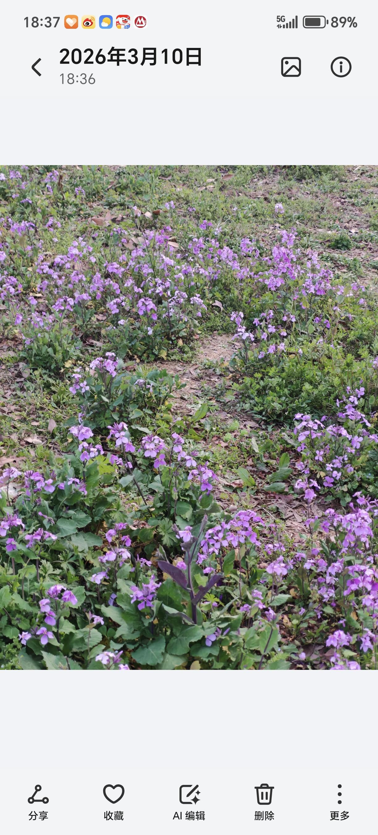 这也太悲观了吧，看了这些女孩子更不愿意结婚了：1.父母总担心你，不结婚，老了没