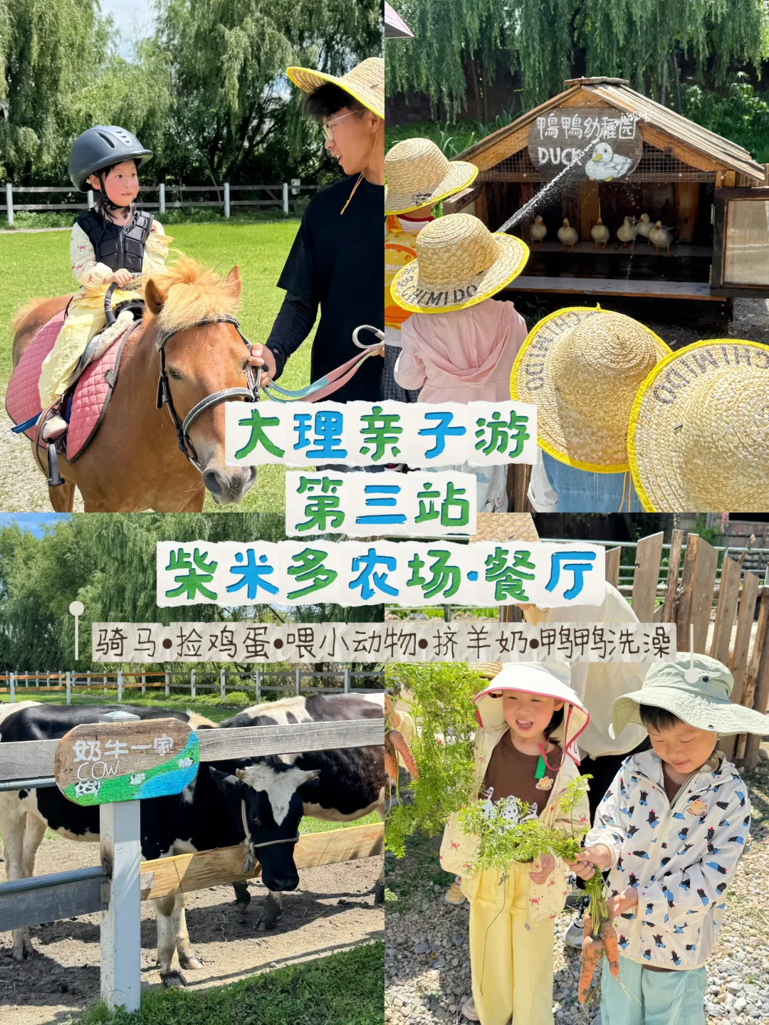 大理亲子游🐴柴米多农场真的值得一去❗️