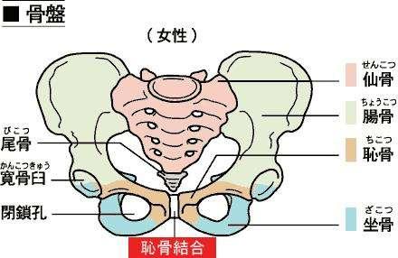 怀孕最要命的“耻骨痛”, 男人根本无法体会!