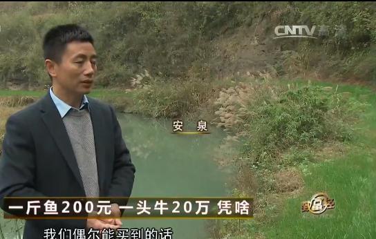 “有钱人只会越来越有钱吗？”2013年，贵州一小伙回老家钓鱼，他发现鱼塘附近有数