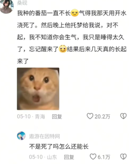 我爸会干出来的事