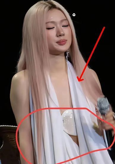 演唱会“衣不蔽体”？不知道从什么时候开始，内地演唱会慢慢变了味道。 曾经大家