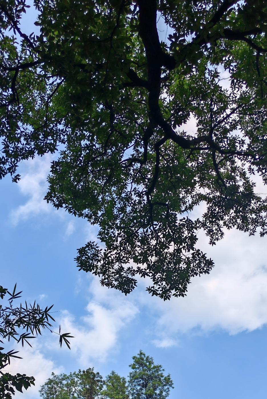 过分的善良从来不是美德，而是对自己的内耗，对得寸进尺者的纵容。你习惯了忍气吞