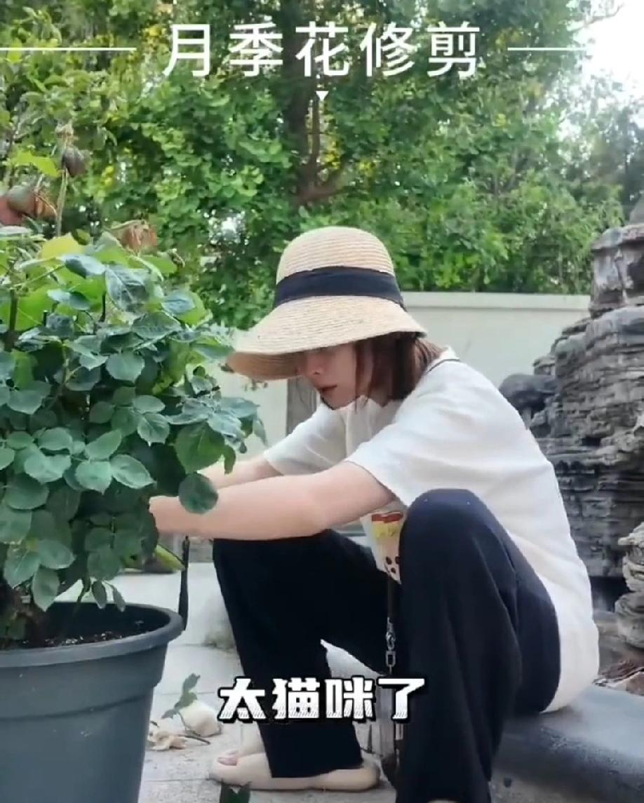 某种程度上来说邓莎老公说的很对，她不能既要又要，有所失必有所得。嫁19岁的富