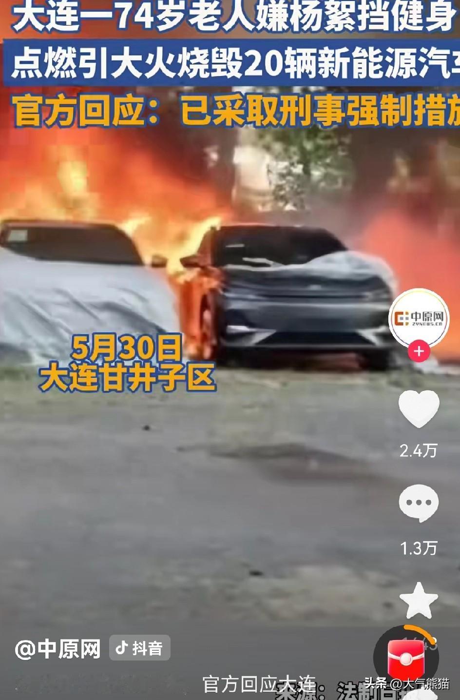 74岁大爷点杨絮，把新能源4S店20辆新车给烧了，这事想想都头皮发麻，最犯愁的怕