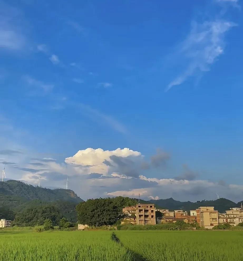 有个男生说他已经订婚了，约定好彩礼10万，等到要去领证时女孩的父母却把彩礼提高到