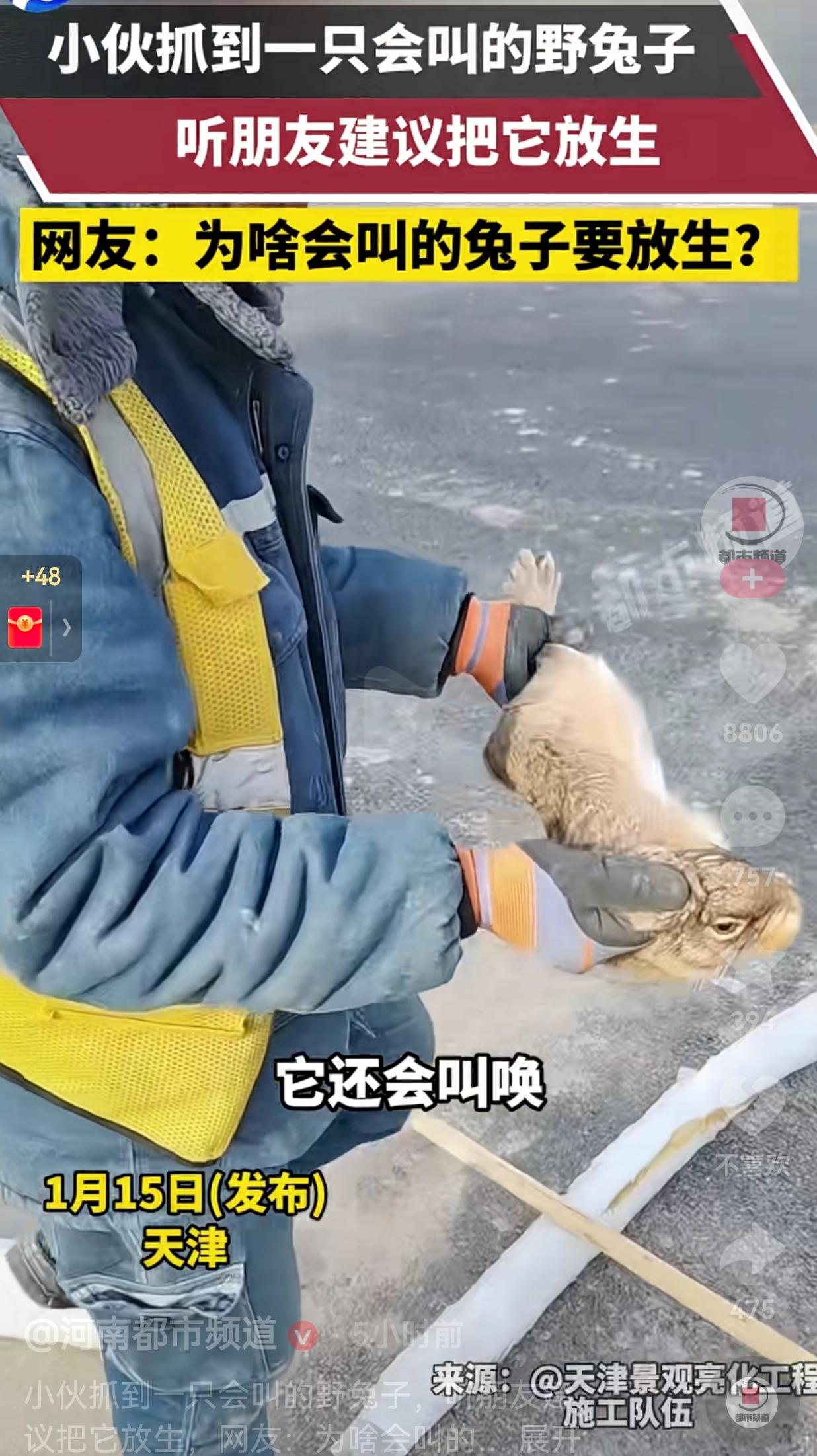 小伙抓到一只会叫的野兔，朋友劝他放生，表示自己愿意买肉作为补偿，网友：为啥会叫的