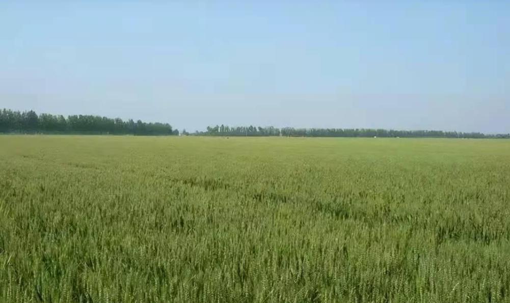 湖北随州小芳案，一个发廊女被警察盯上，结果闹出一场大冤案。2003年左右，小芳