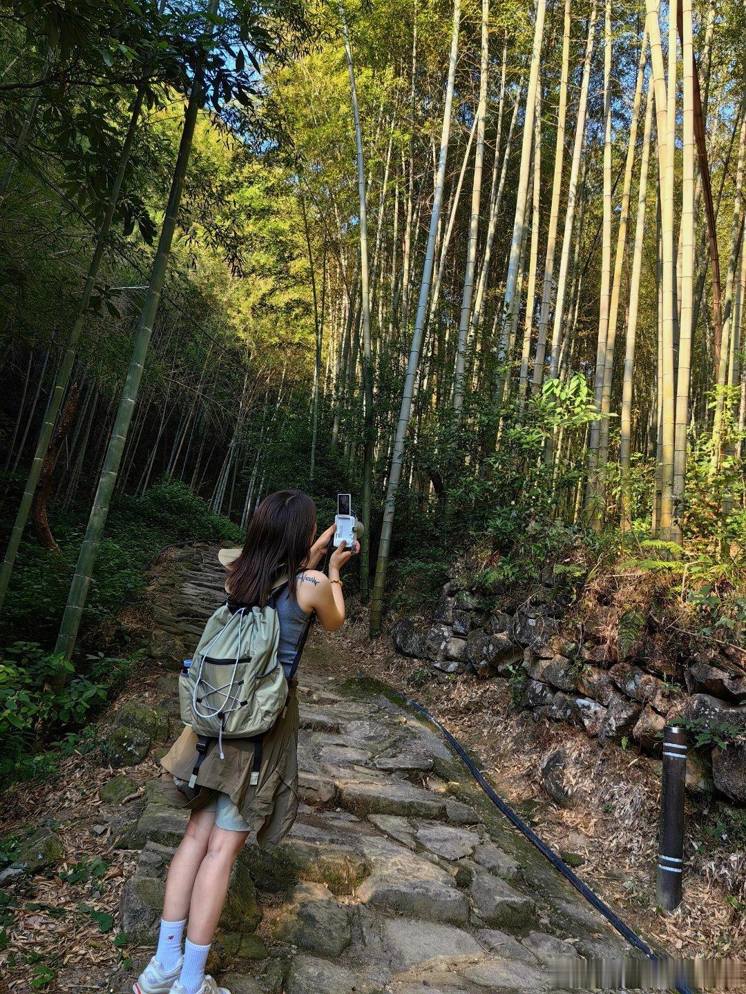 好像喜欢上了徒步云岭古道，人很少，很适合安静的爬爬山，今天遇到骡子在拉石块，工人