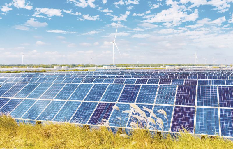 光伏“小作文”风波平息市值增386亿 价格企稳通威隆基单季减亏9.56亿