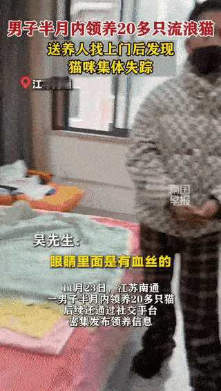 真是令人心酸！一男子半个月内领养了20多只猫，爱猫人士吴先生上门回访的时候发现只