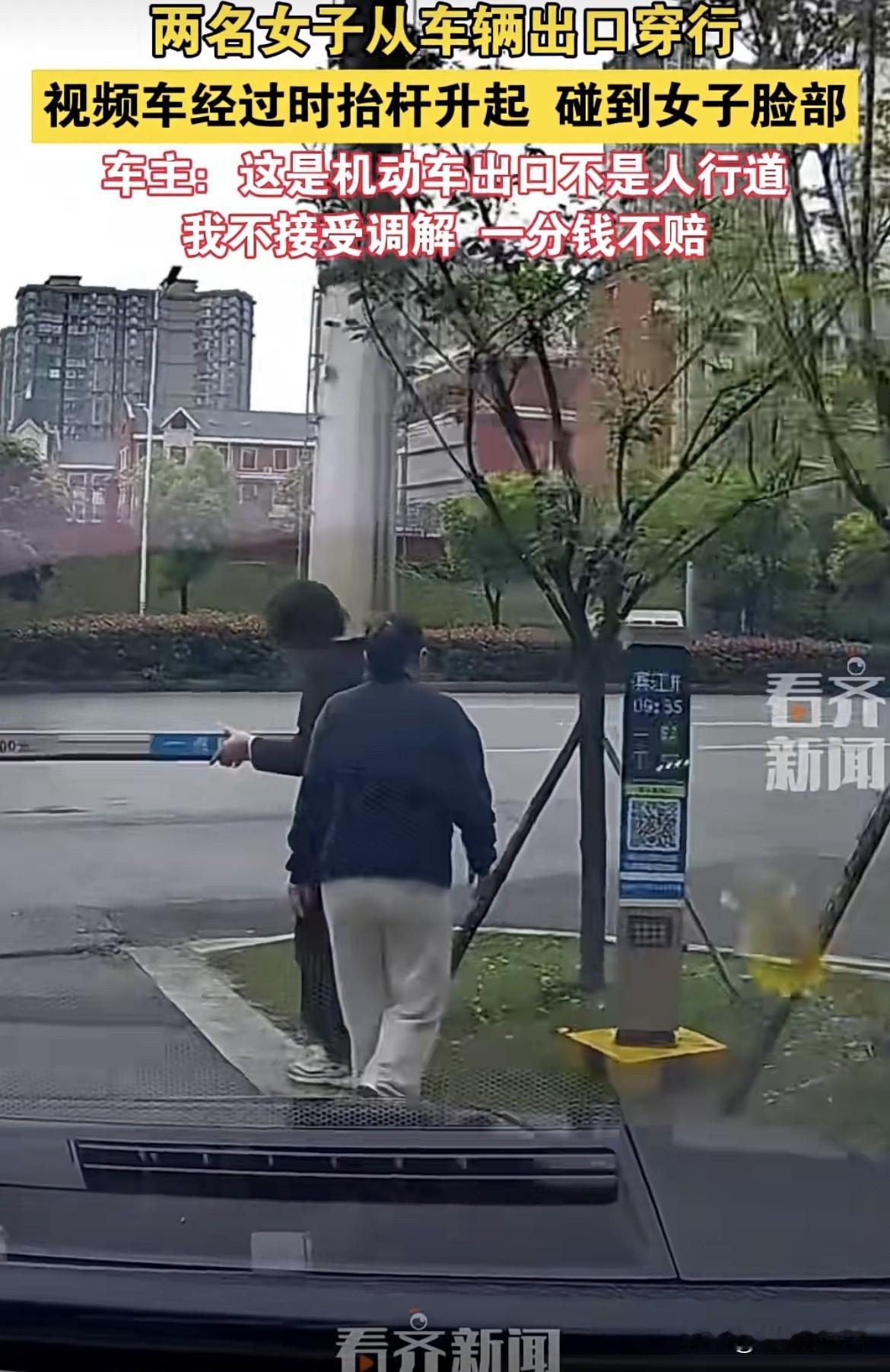 全网网友都支持你一分钱不赔偿，车主你这要是赔钱了就天理不容。两女子好好的路不走