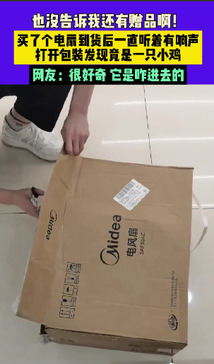 “彻底解释不清了！”黑龙江，女子网购一台风扇，到货后发现快递里有动静，还有清脆的