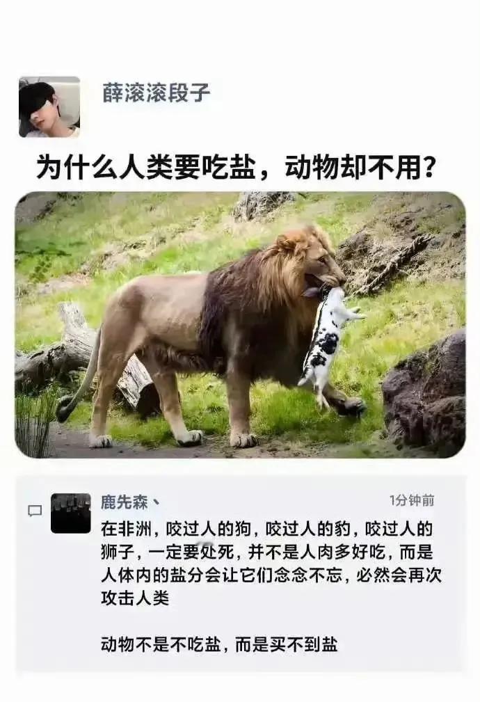 动物不吃盐，是因为买不到盐？