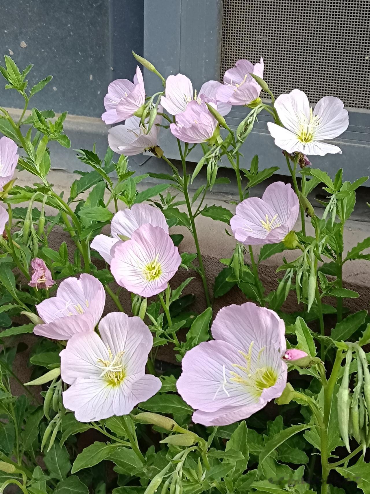 女人圈子里不外传的10个秘密1.女人很多时候，就是一生气就不说话，一委屈就