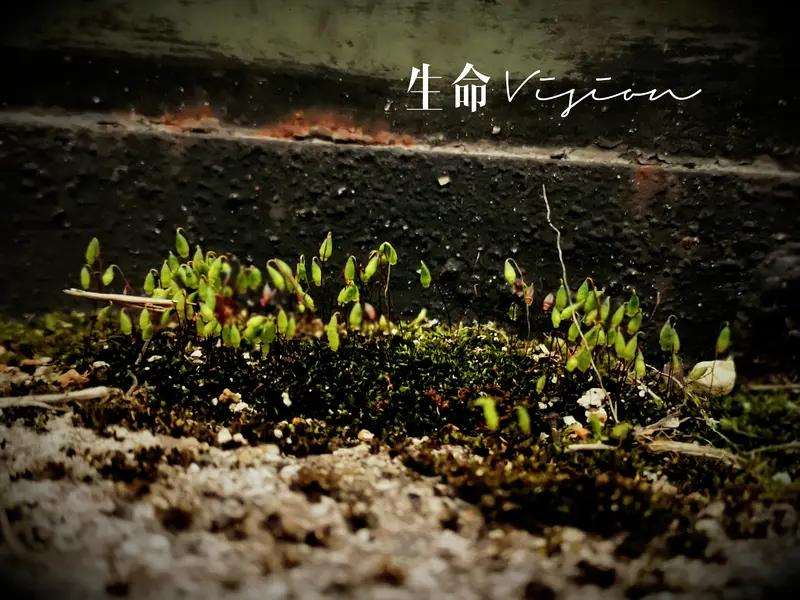 生命的本质是一个跨越生物学、哲学、物理学甚至神学的宏大命题，目前科学界并没有一个