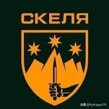 🛡🇺🇦“斯卡拉”（Skala）团划归“亚速”军团作战指挥🔷第425