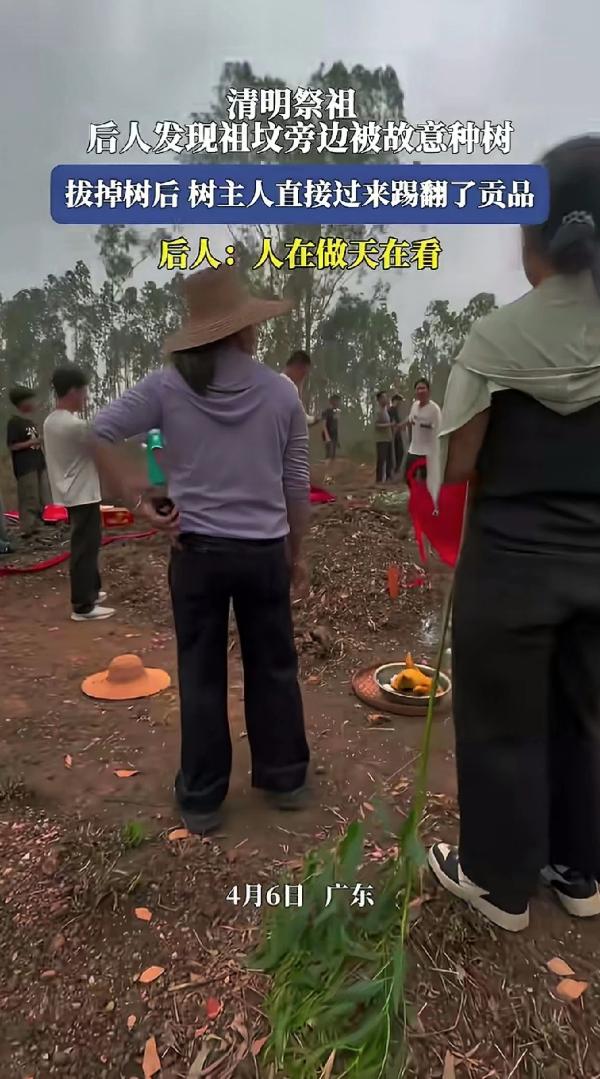 这下解释不清了！广东，一家人清明去扫墓，到了地方一看，发现太公坟前正对着的空地上