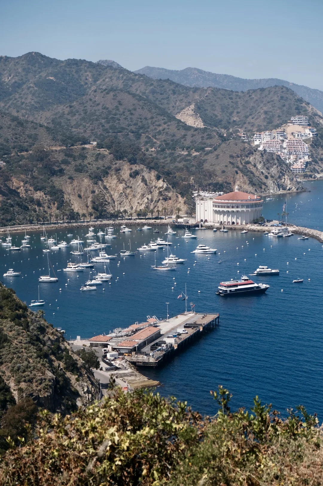 LA避世小岛🩵蓝色果冻海Catalina Island