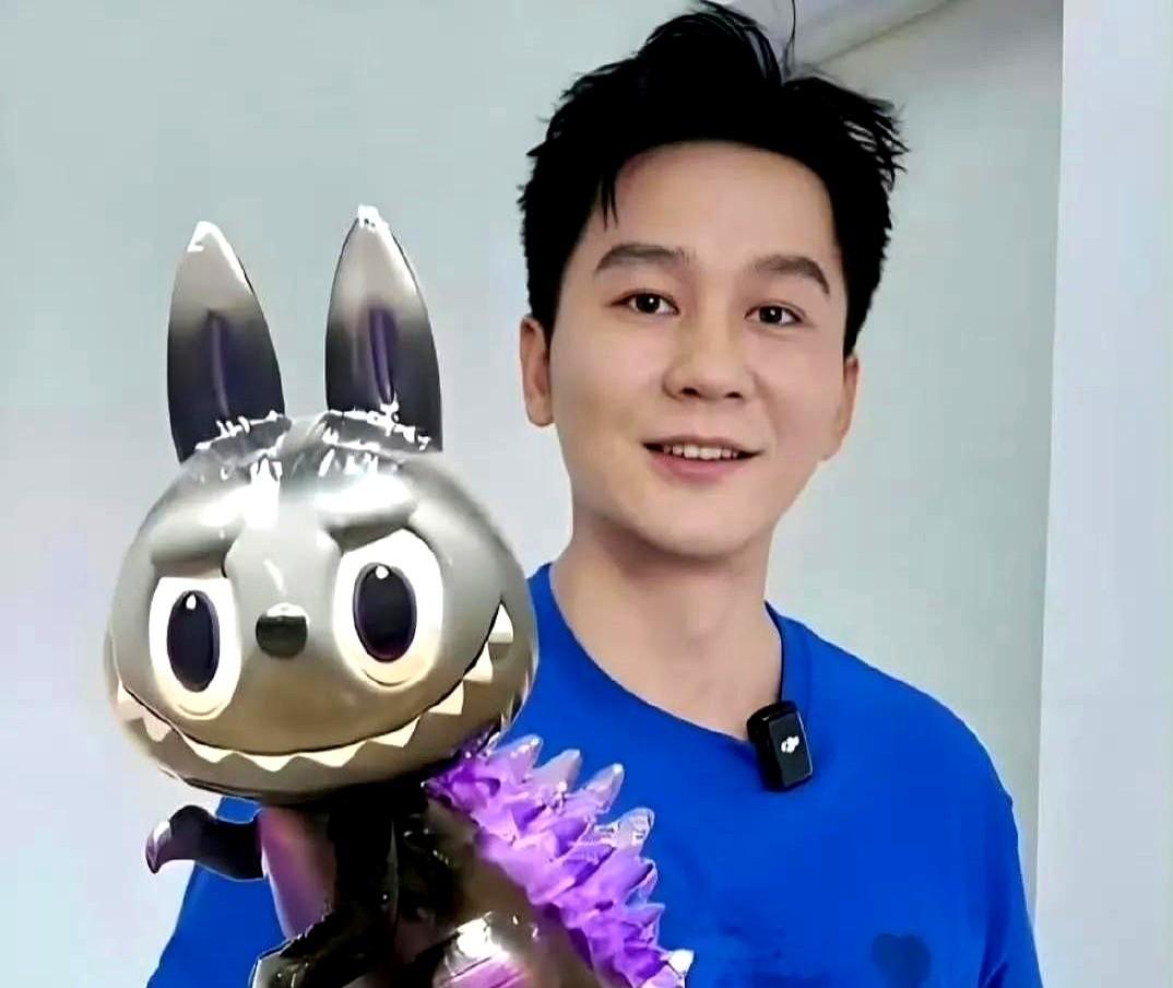 6月10日，演员李晨发文称发现曾收藏的labubu玩偶，其款式与常见毛绒款不同，