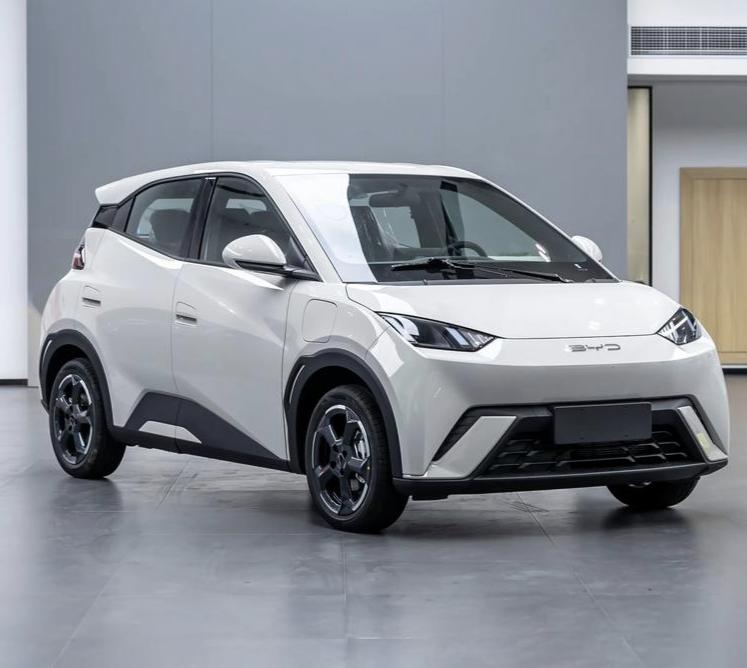 面对吉利星愿、五菱缤果S、极狐T1的围攻，比亚迪海鸥销量，为何还这么好?11