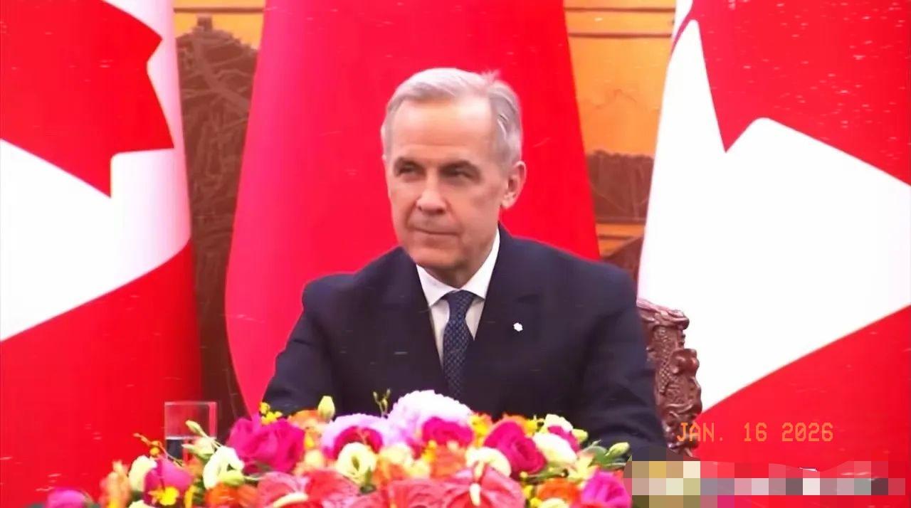 你看加拿大跟人民币签订了货币互换协议。规模有2000亿人民币。加拿大啊，加拿