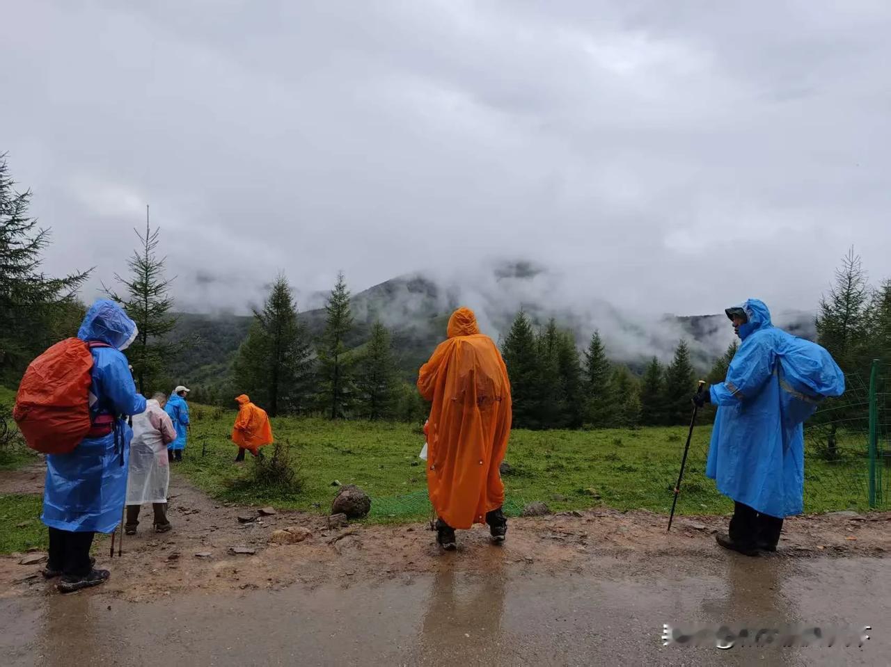 雨中徒步五台​已经二十多天没有徒步了，今天带队徒步五台拉练，为冈仁波齐转山活动
