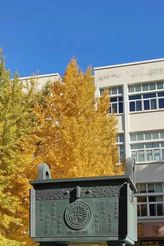 钢铁学院改名，分数反超985当年叫北京钢铁学院，名字一出就被当成技校。196