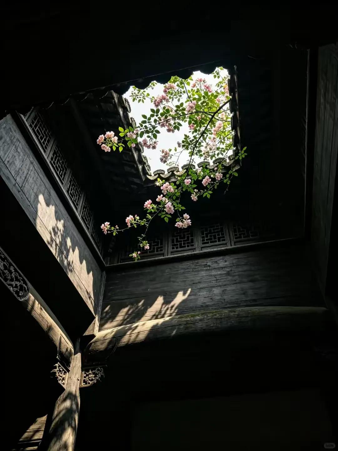 一位教育专家说过这样一句话：“千万不要逼迫你的孩子能成为学霸！因为一个人能不能