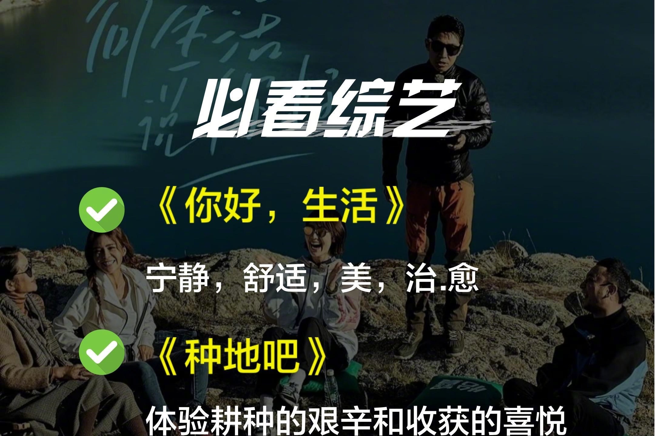 这些综艺真的比书还好看！​​​