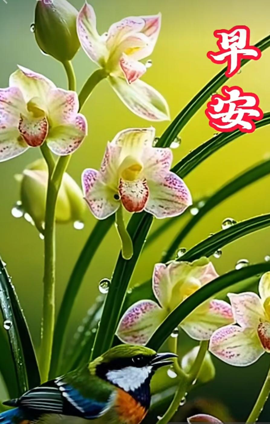 健康是金、金不換；開心是財、財不斷；善良是福、福如海；快樂是寶、寶如山。