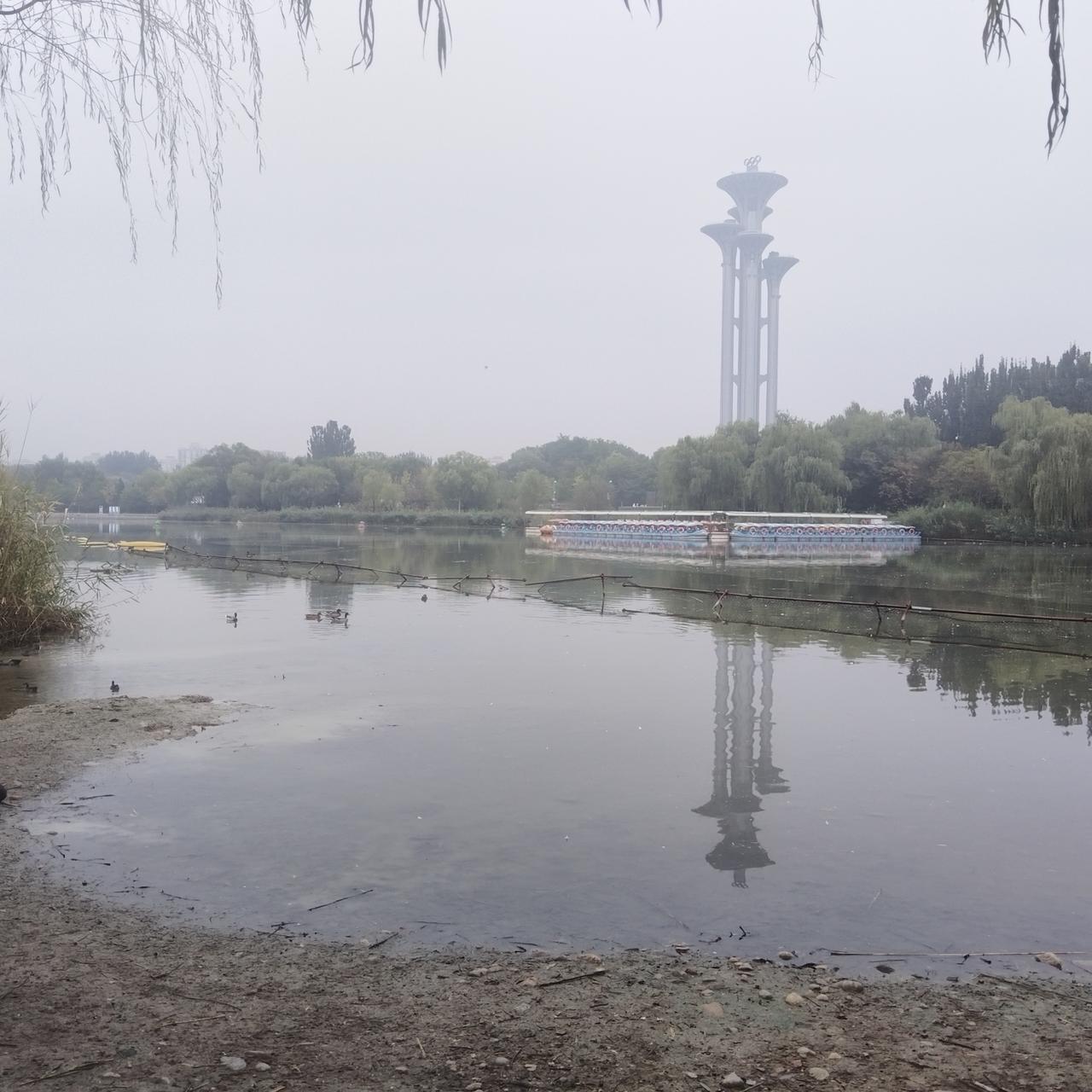 中秋早晨的奥森