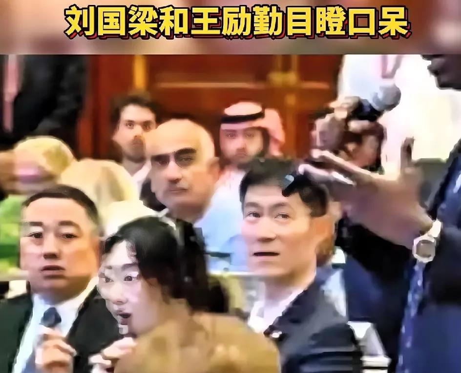 世界就是个巨大的草台班子具象化了一场选举会给果凉和大力都无语住了想过老外数学