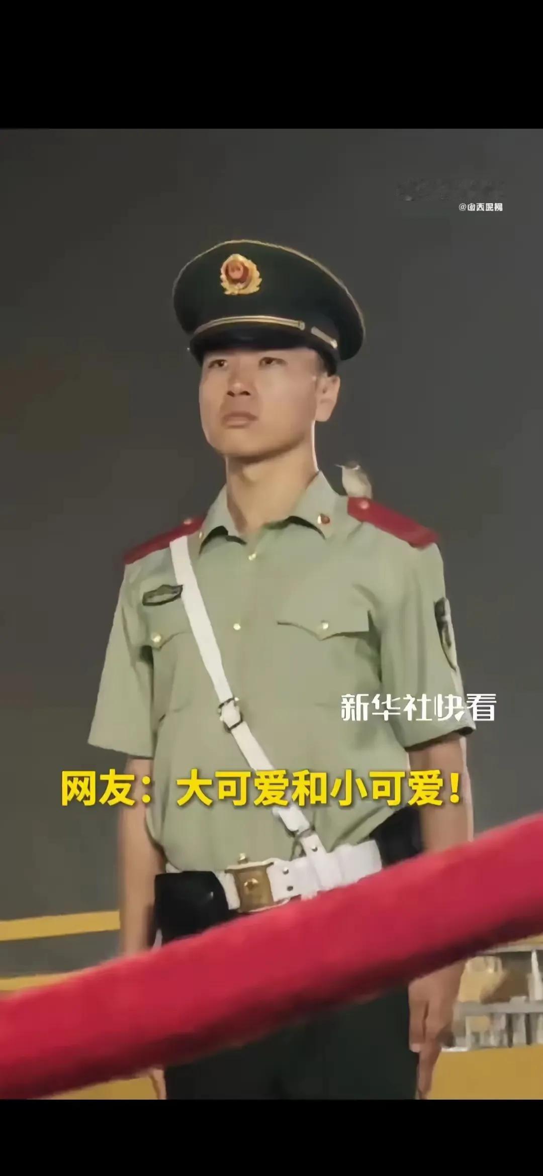 破防了！小鸟“打卡”中国军人肩膀，这一幕让14亿人泪目天安门广场的升旗仪式