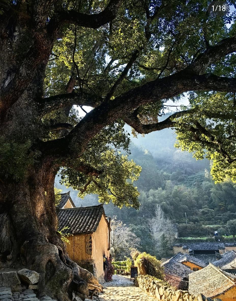 国庆适合去的10个小众目的地：1.浙江松阳2.云南建水3.贵州