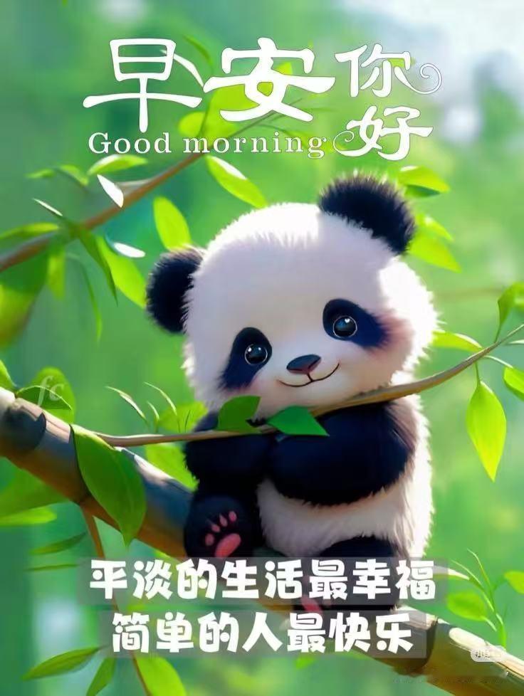 渡過風風雨雨，迎來平平安安，步入新的一天，身體必須健康。早上好！[玫瑰]